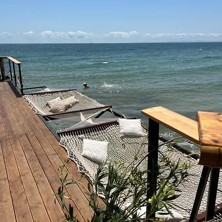 Sunny In Bellicity Complex Lejlighed